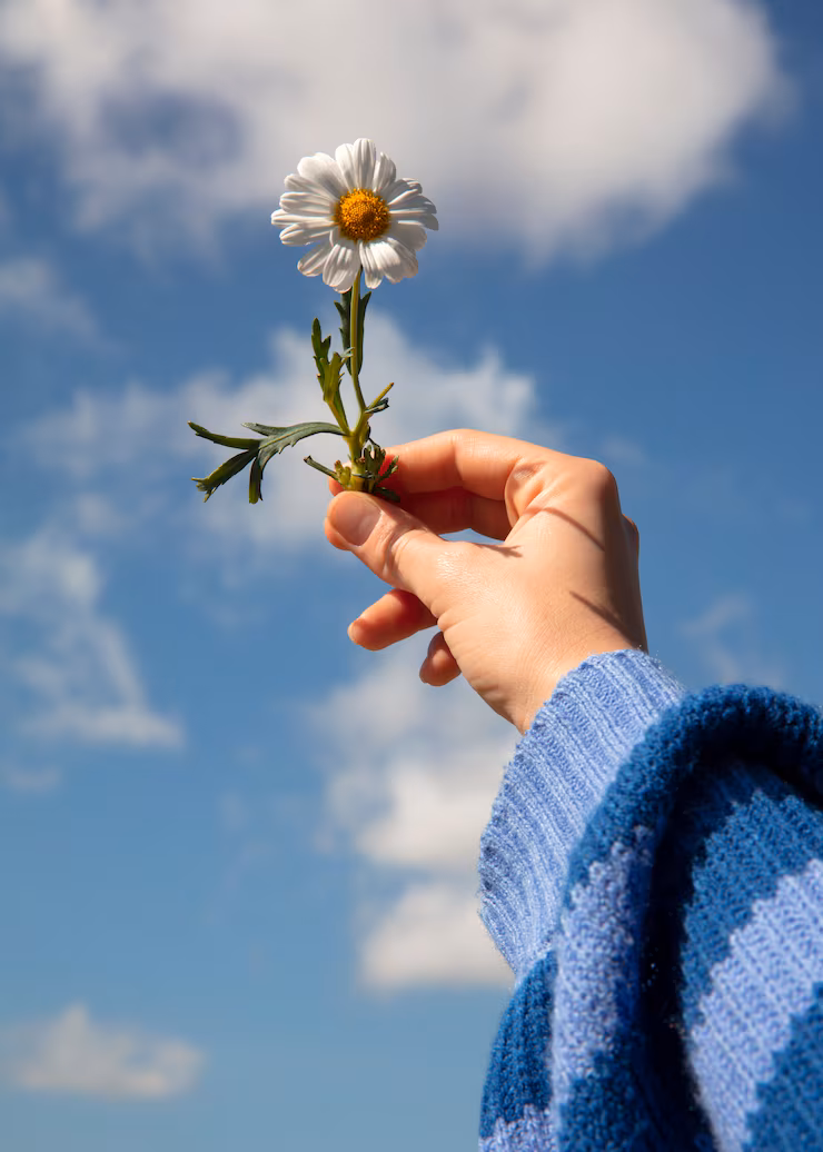 자기계발 입문자를 위한 책 5권